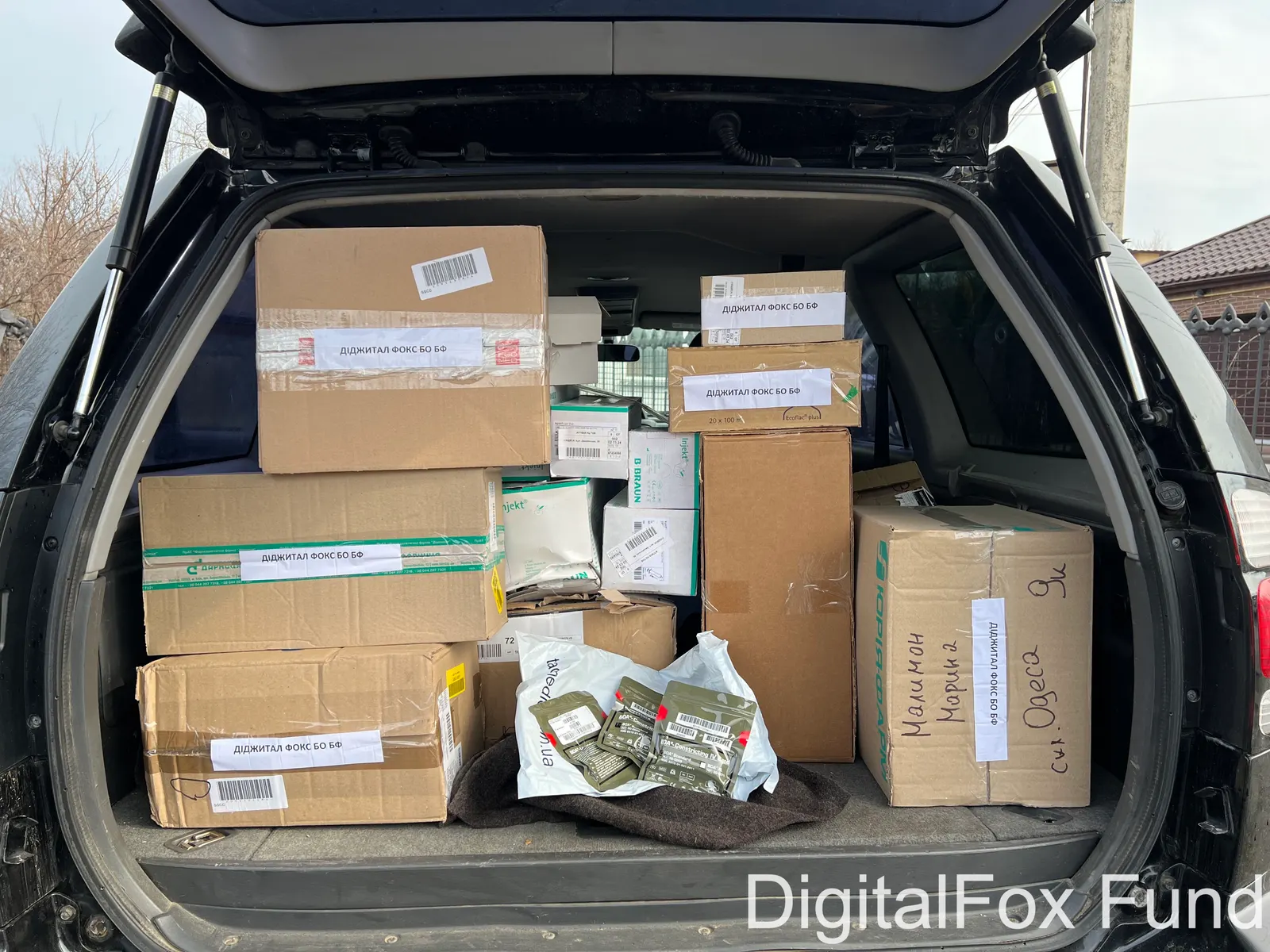 Report for January–March 2024 — Photo report 19